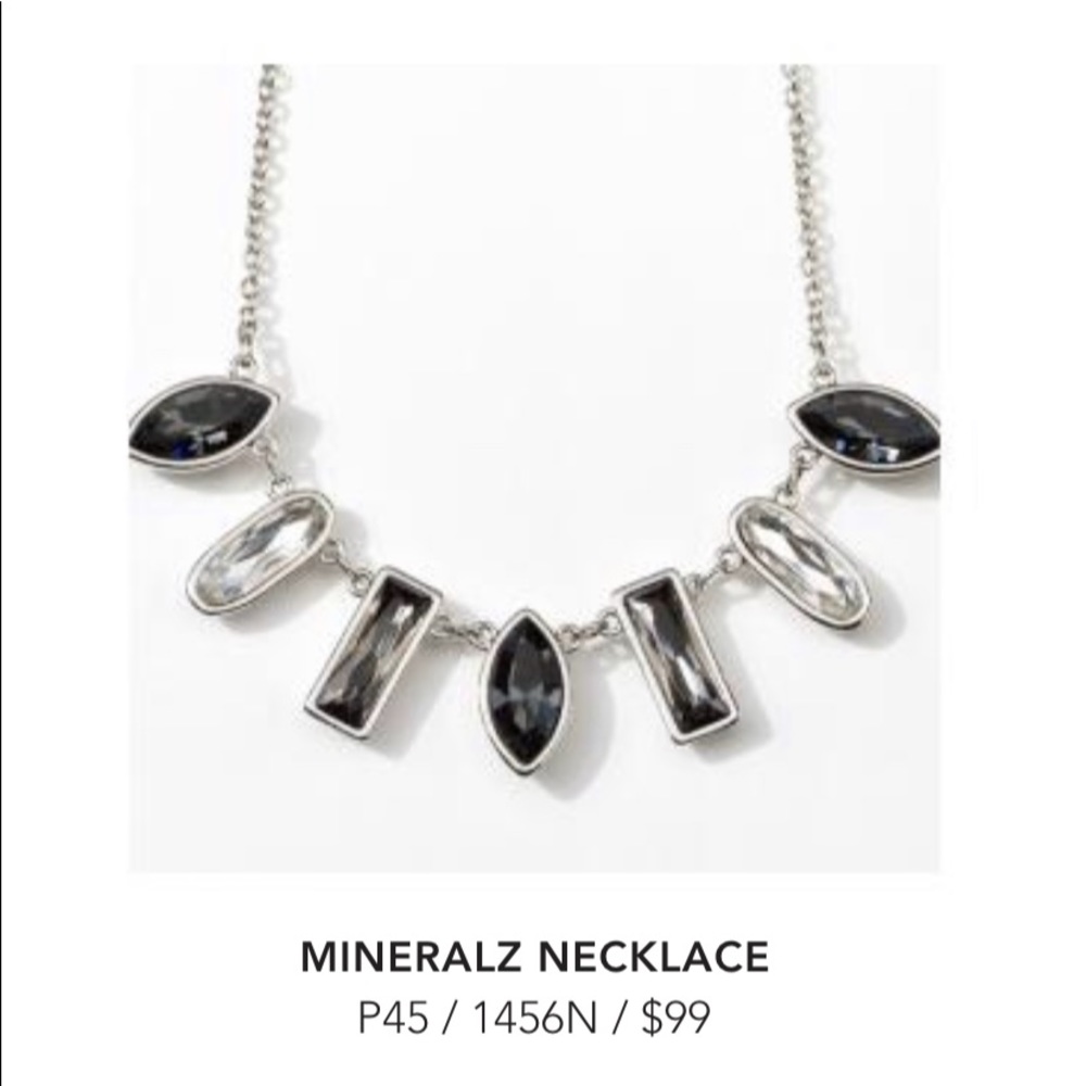 Touchstone Crystal brand new retired necklace. This piece goes w/ everything.